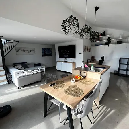 Luxurious In Apartment Laibach